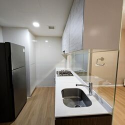 the-lakefront-residences photo thumbnail #2